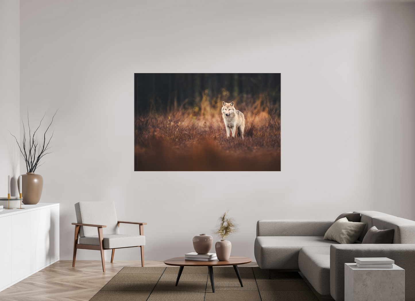 Wolf in autumn surroundings
