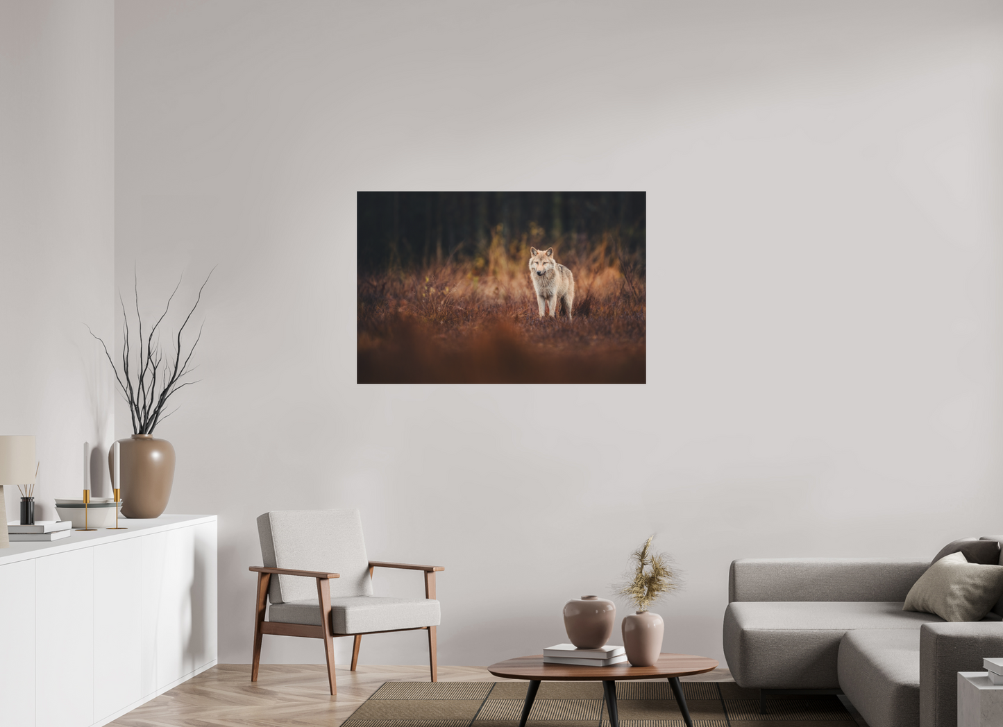 Wolf in autumn surroundings