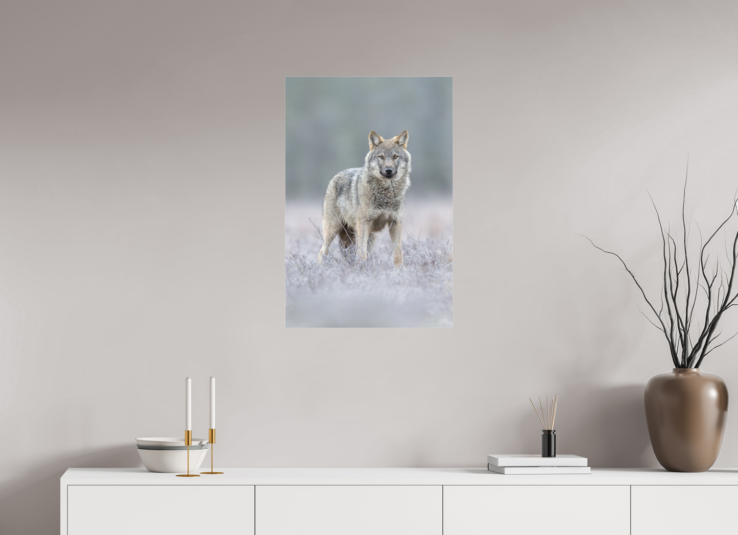 Wolf on frozen ground