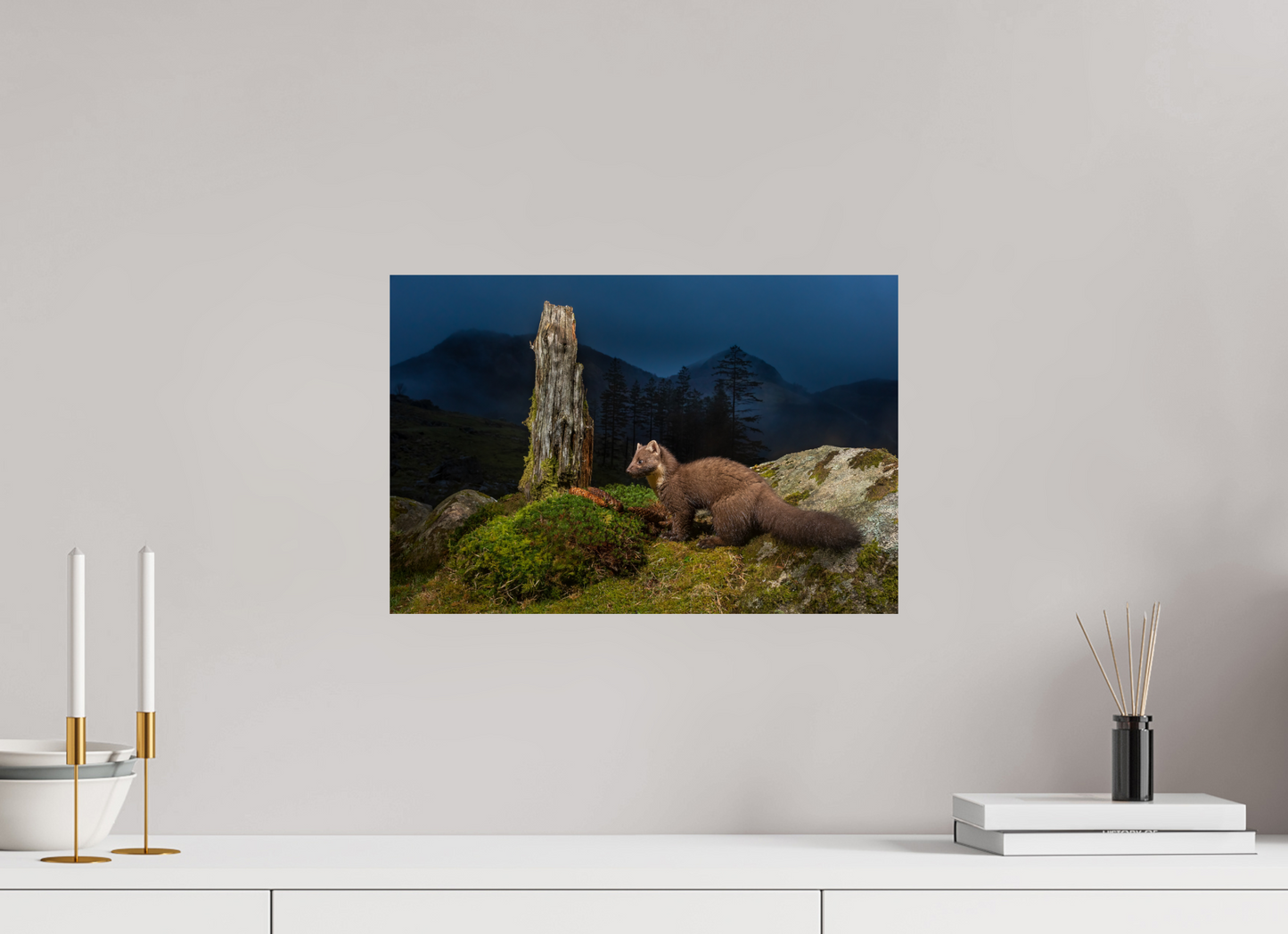 Pine marten in the blue hour