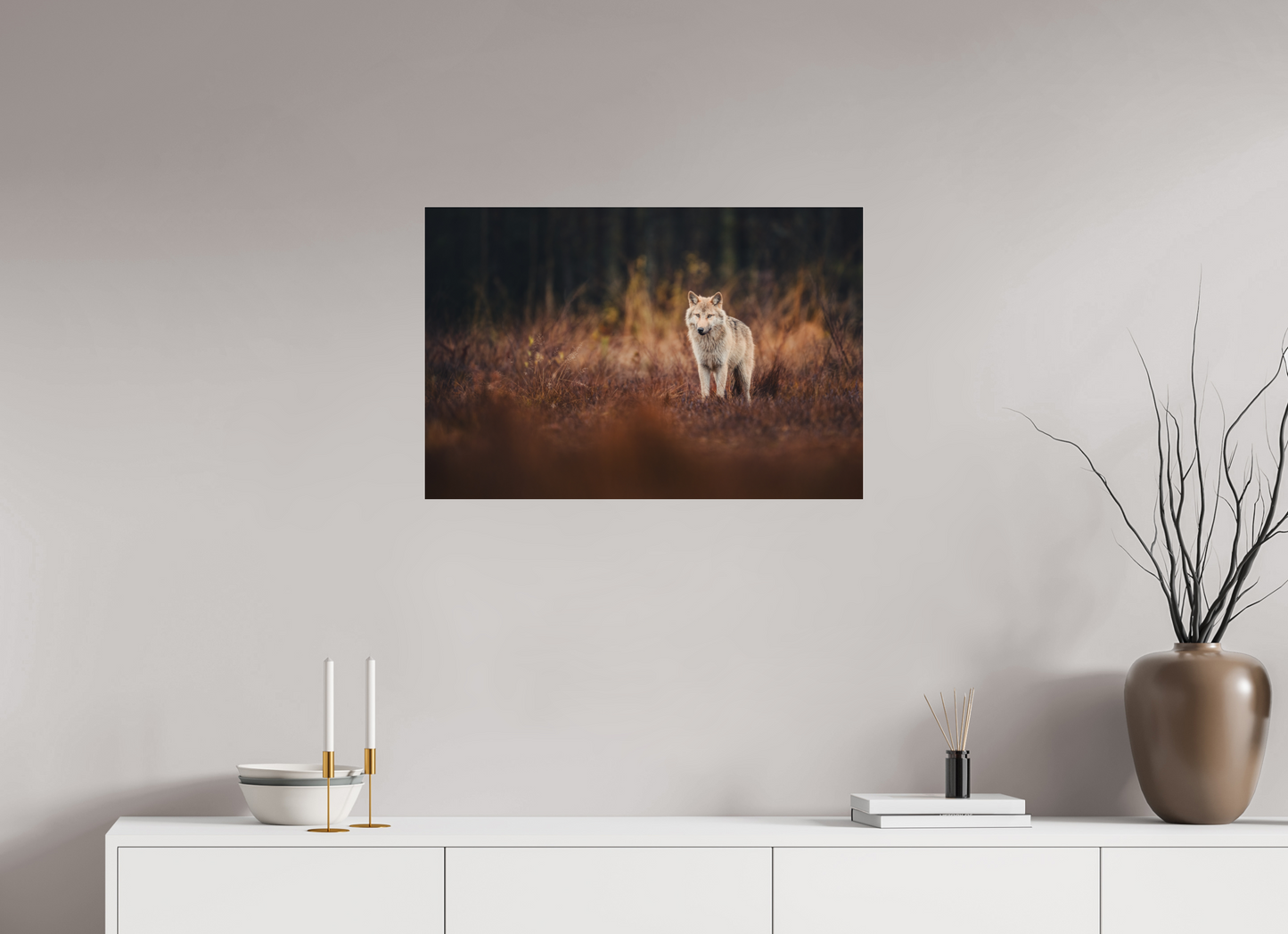 Wolf in autumn surroundings