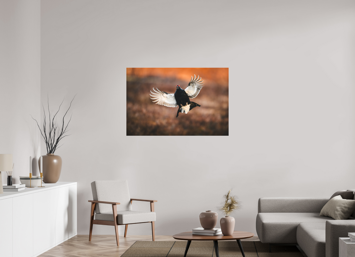 Black grouse in flight