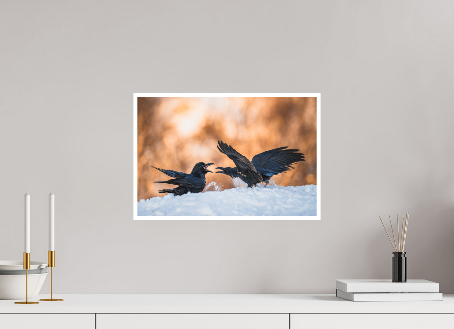 Ravens fighting in the snow