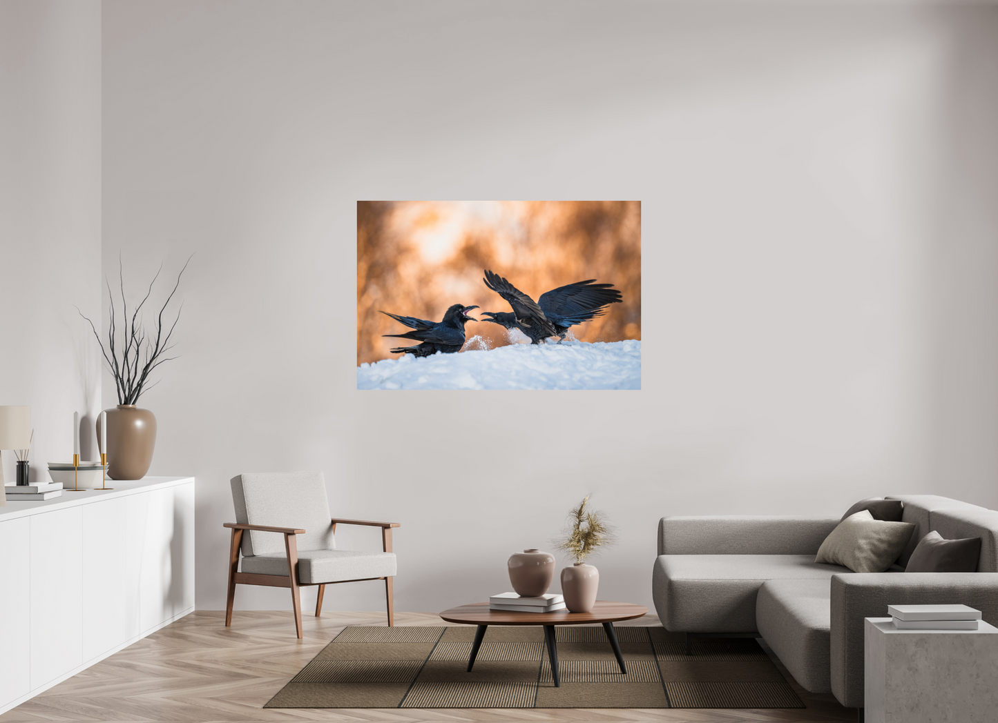 Ravens fighting in the snow