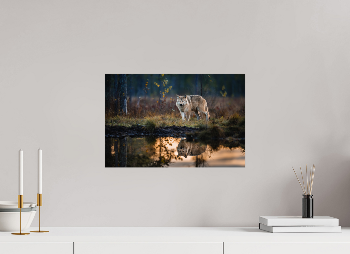Wolf at the pond
