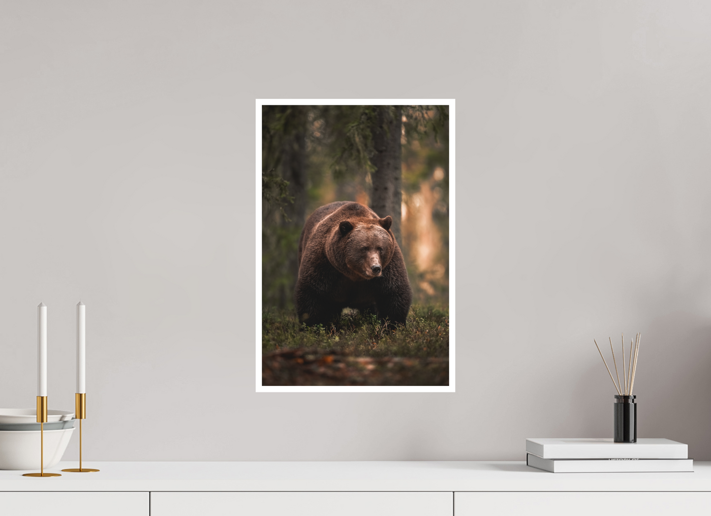 Bear in the evening forest