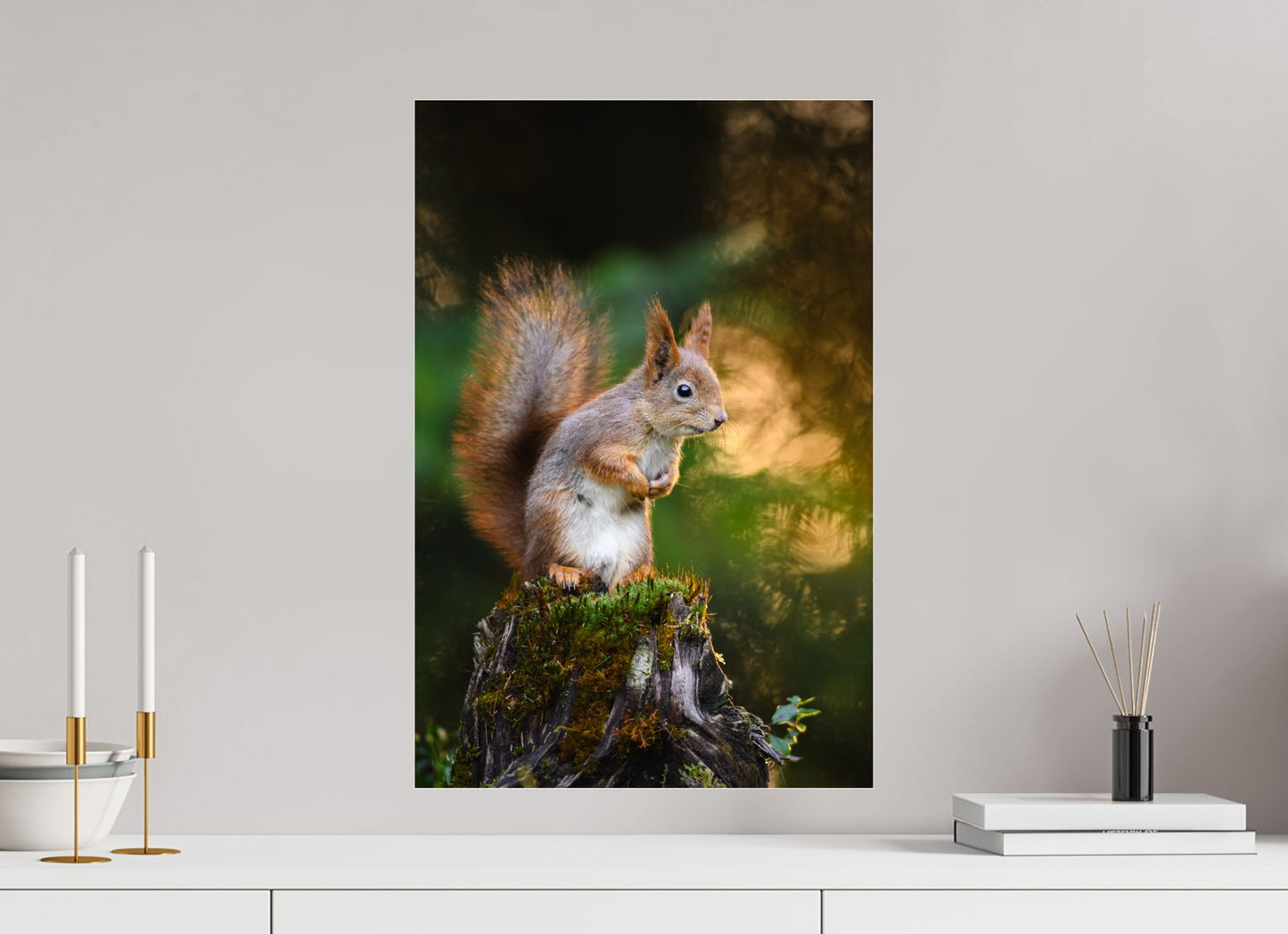 Squirrel in the summer forest