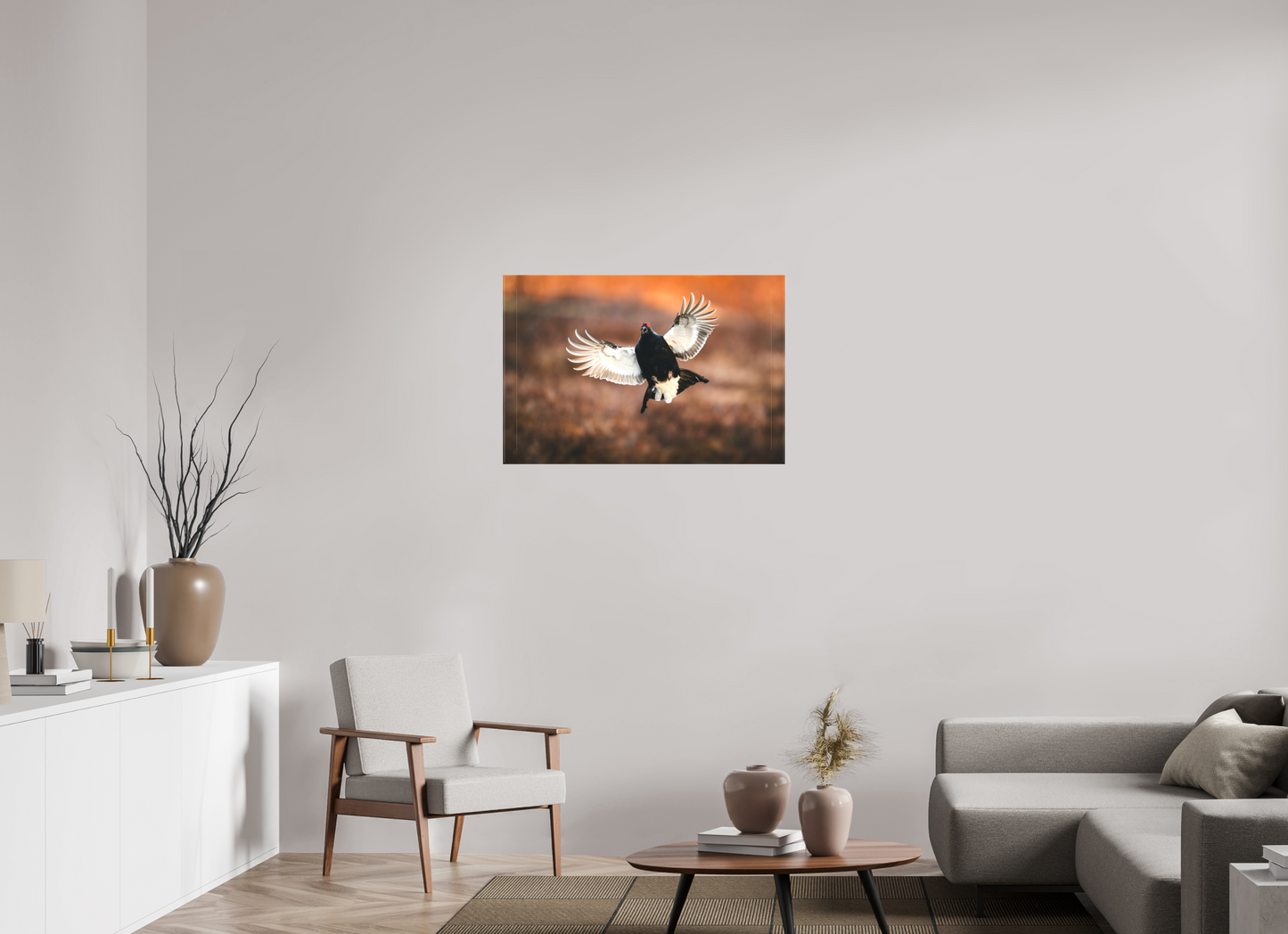 Black grouse in flight