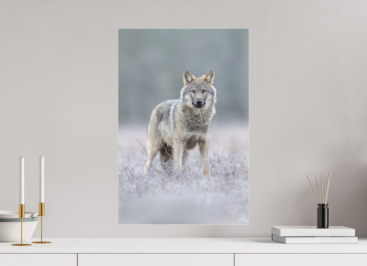 Wolf on frozen ground