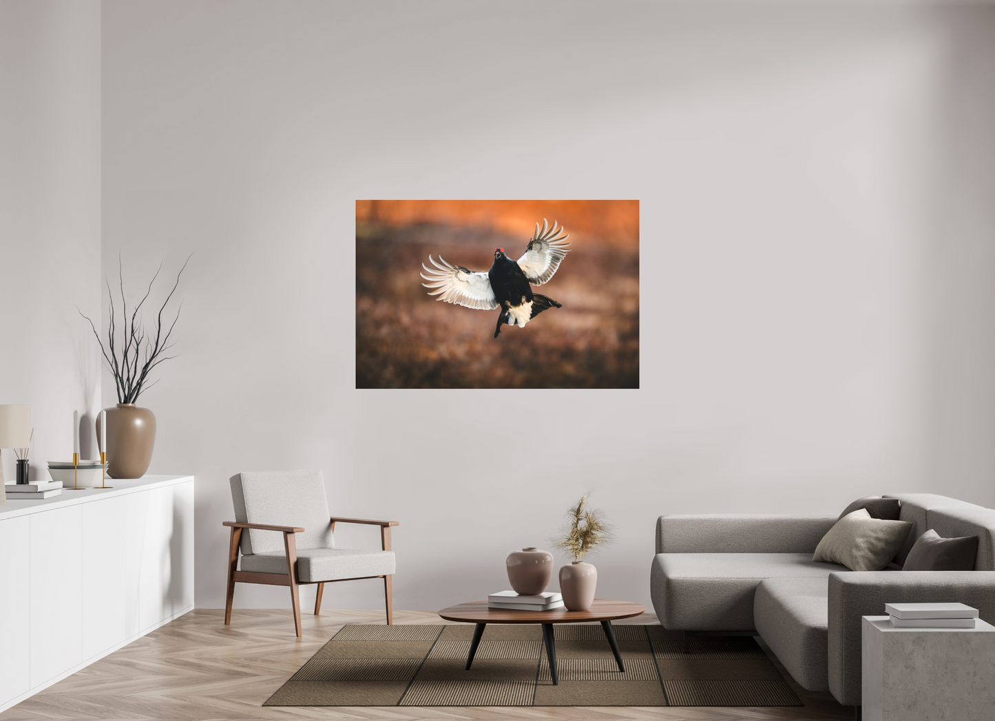 Black grouse in flight