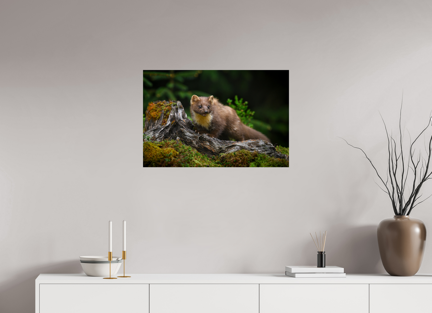 Pine marten on old tree root