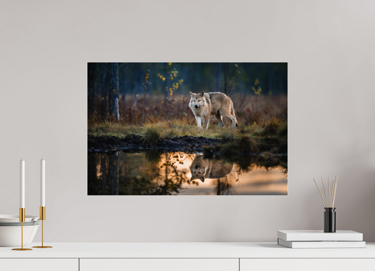 Wolf at the pond