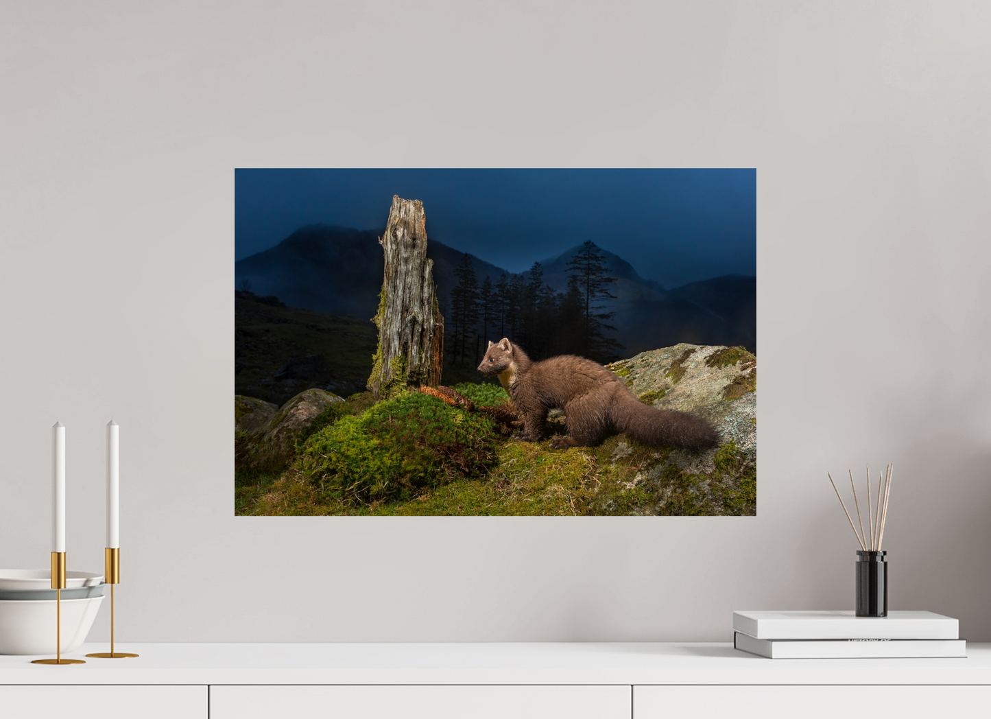 Pine marten in the blue hour