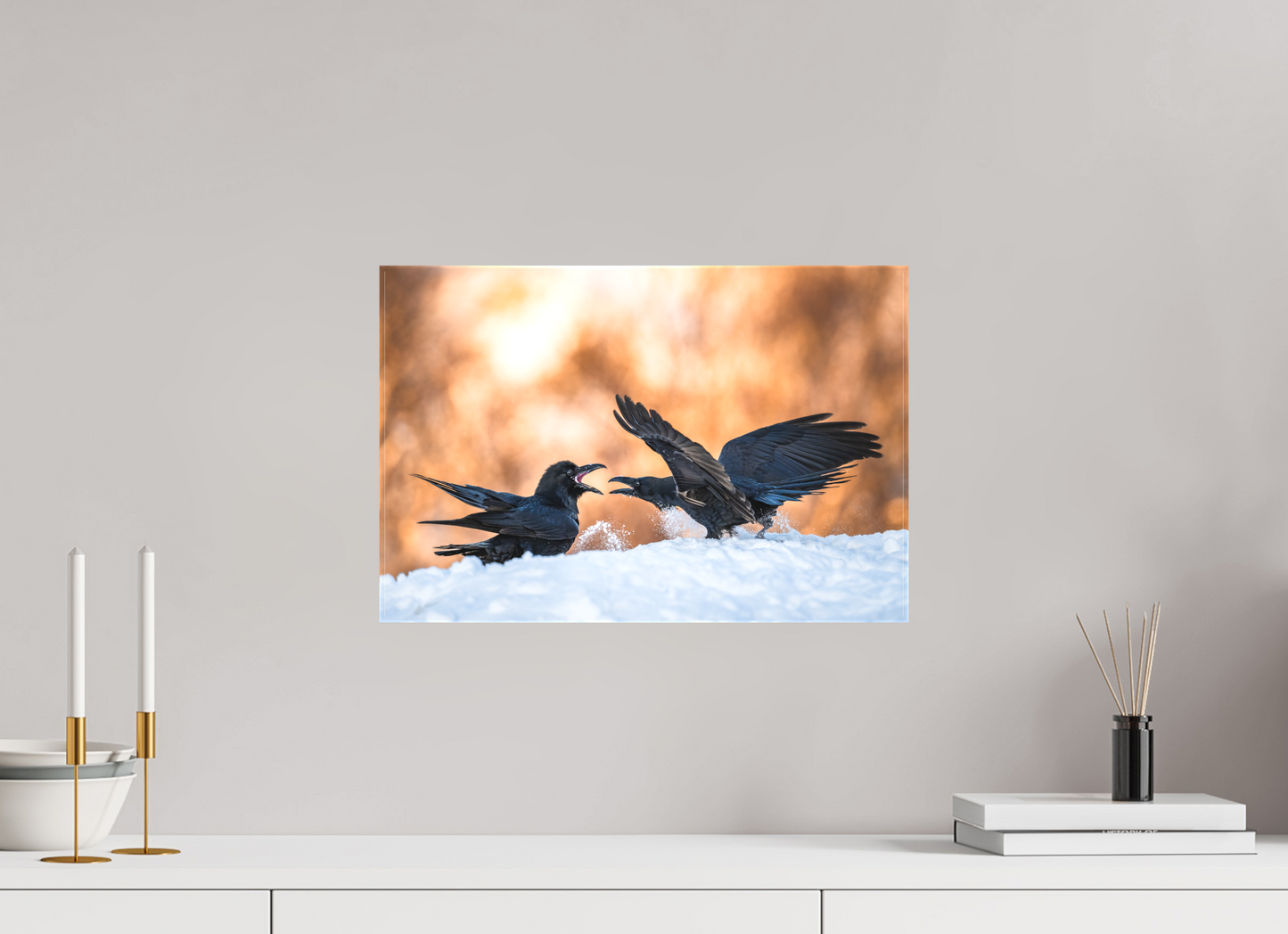 Ravens fighting in the snow