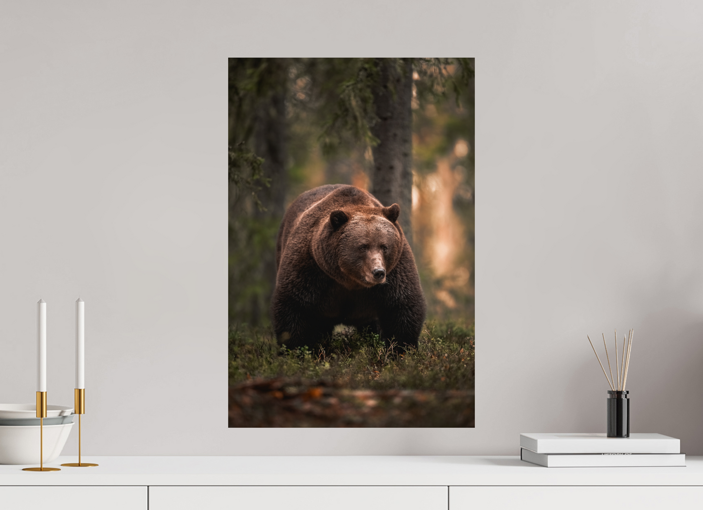 Bear in the evening forest