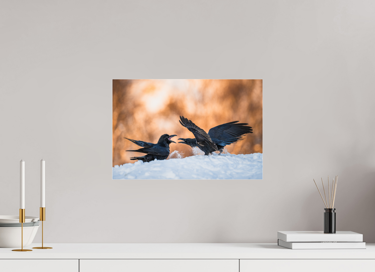 Ravens fighting in the snow