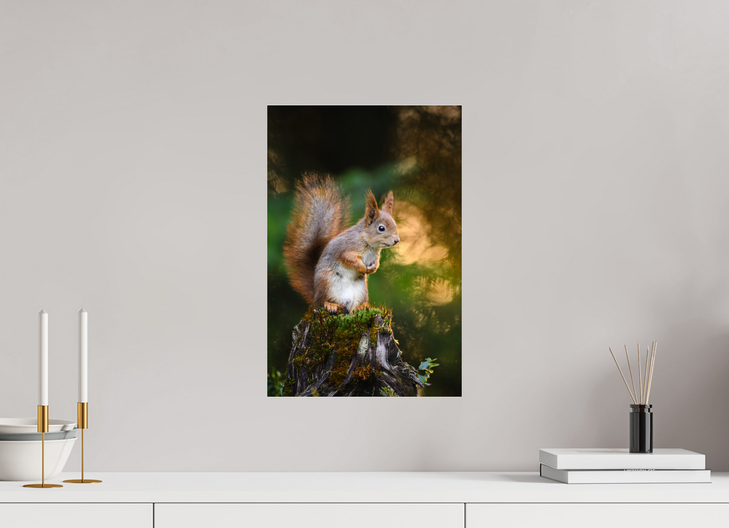 Squirrel in the summer forest
