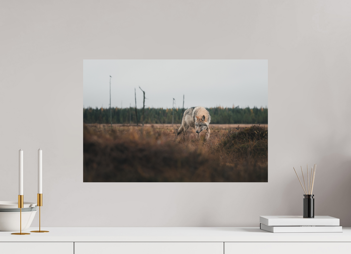 Lurking wolf