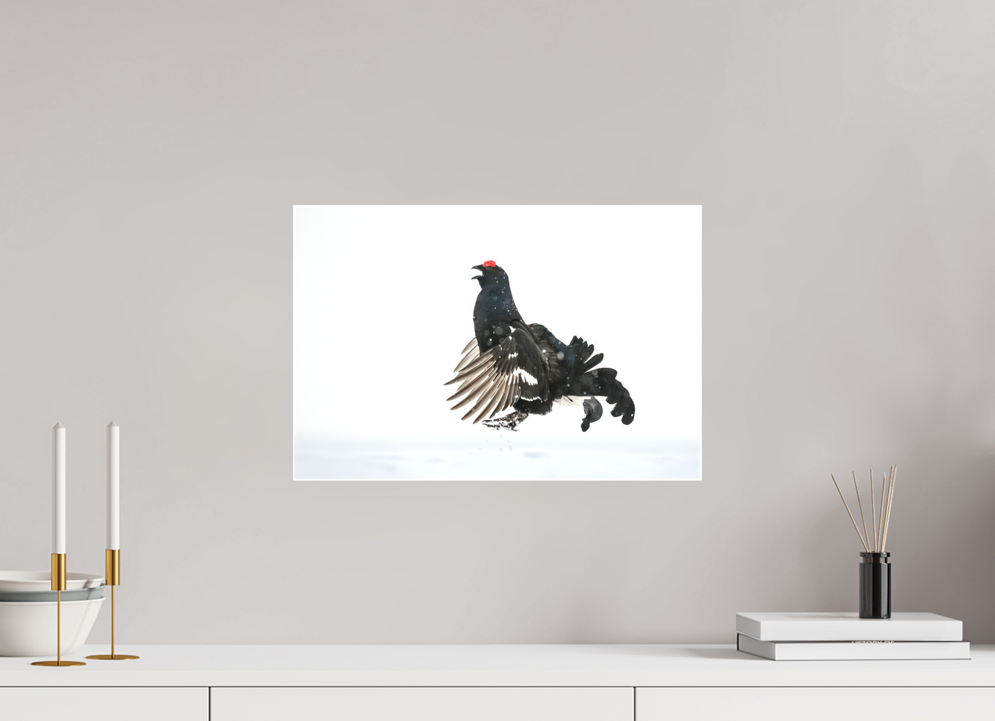 Jumping black grouse
