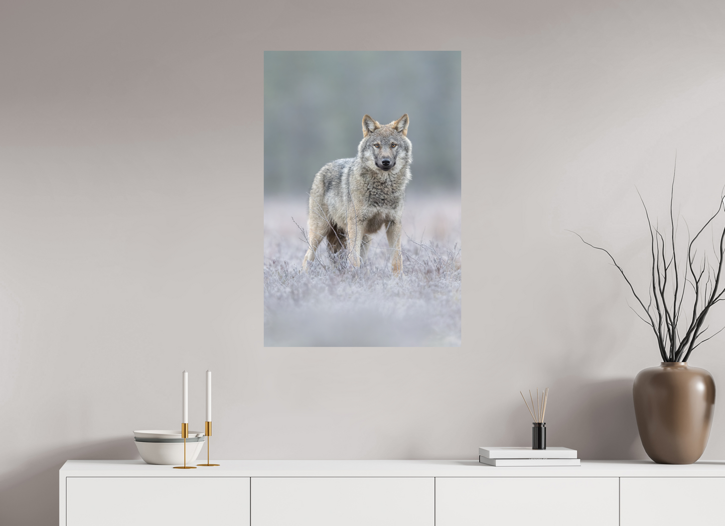 Wolf on frozen ground