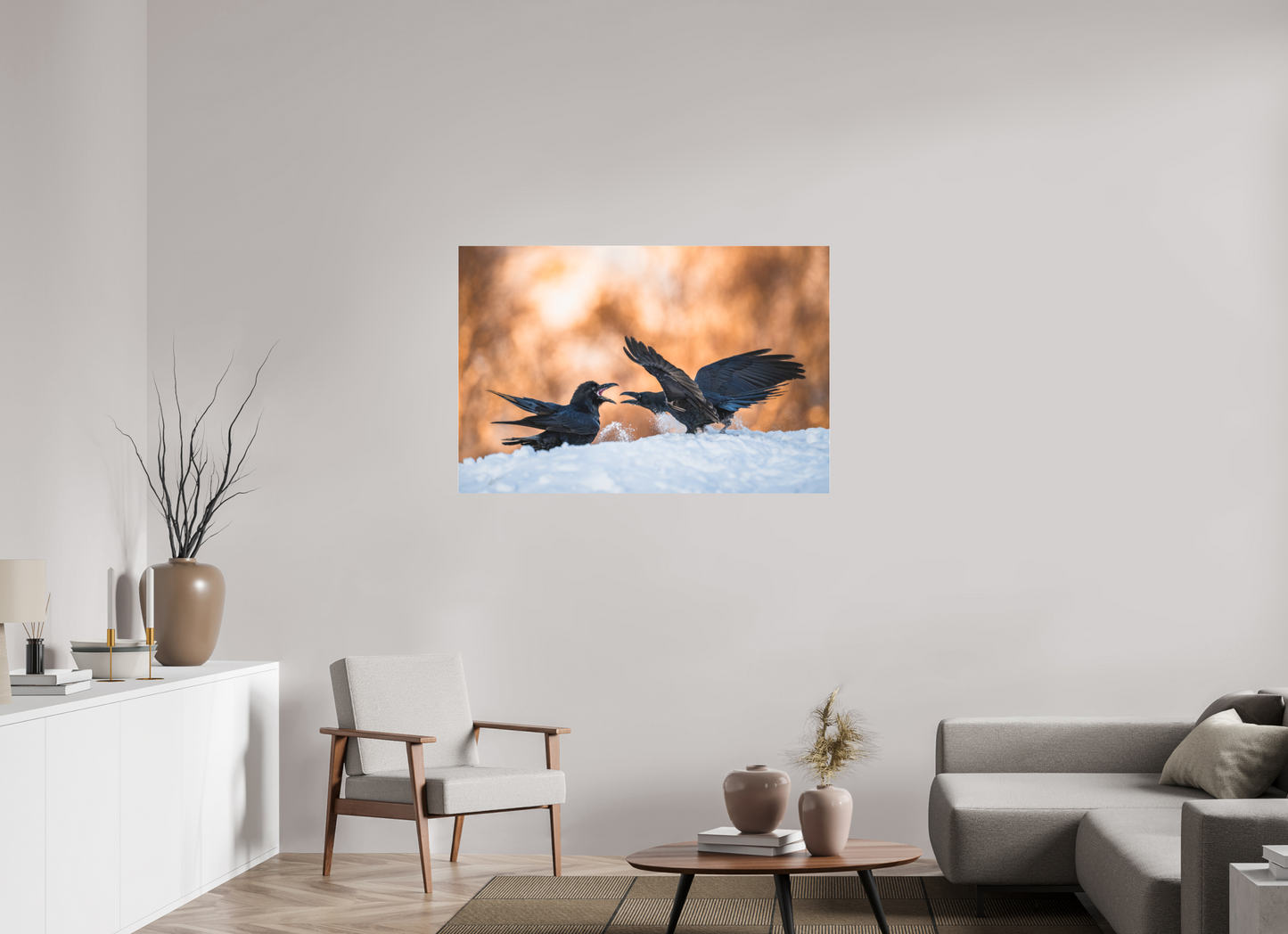 Ravens fighting in the snow