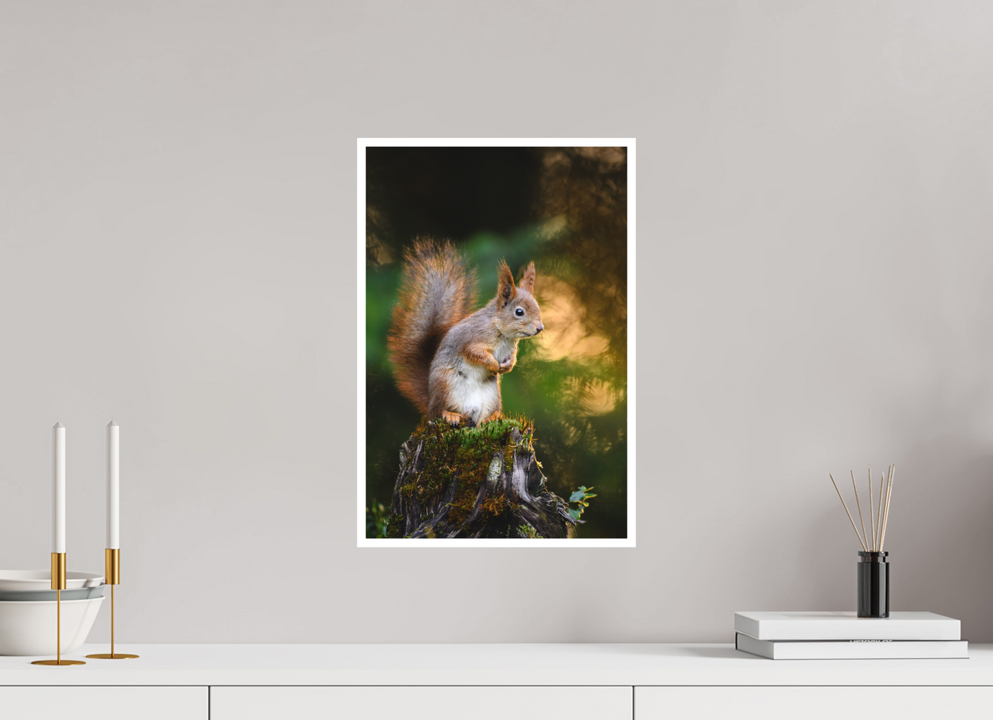 Squirrel in the summer forest