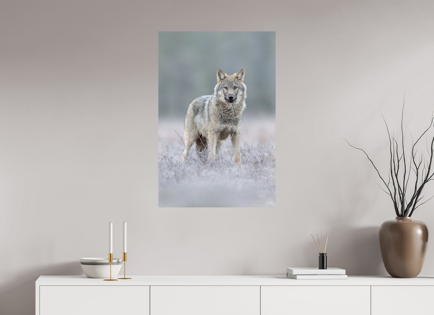 Wolf on frozen ground