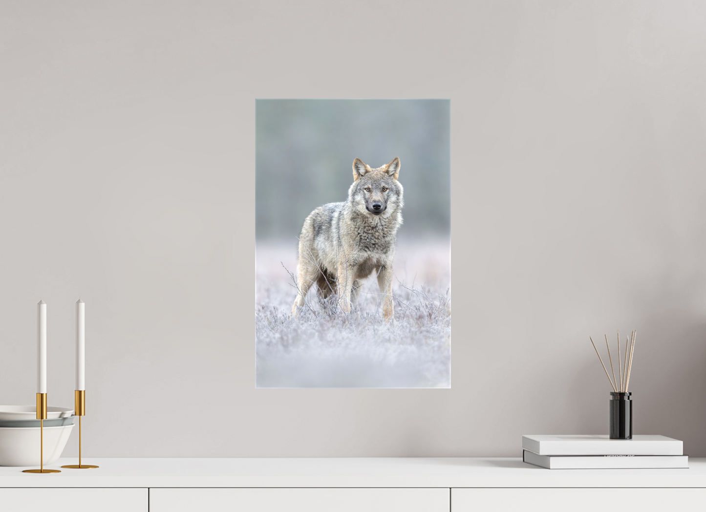 Wolf on frozen ground