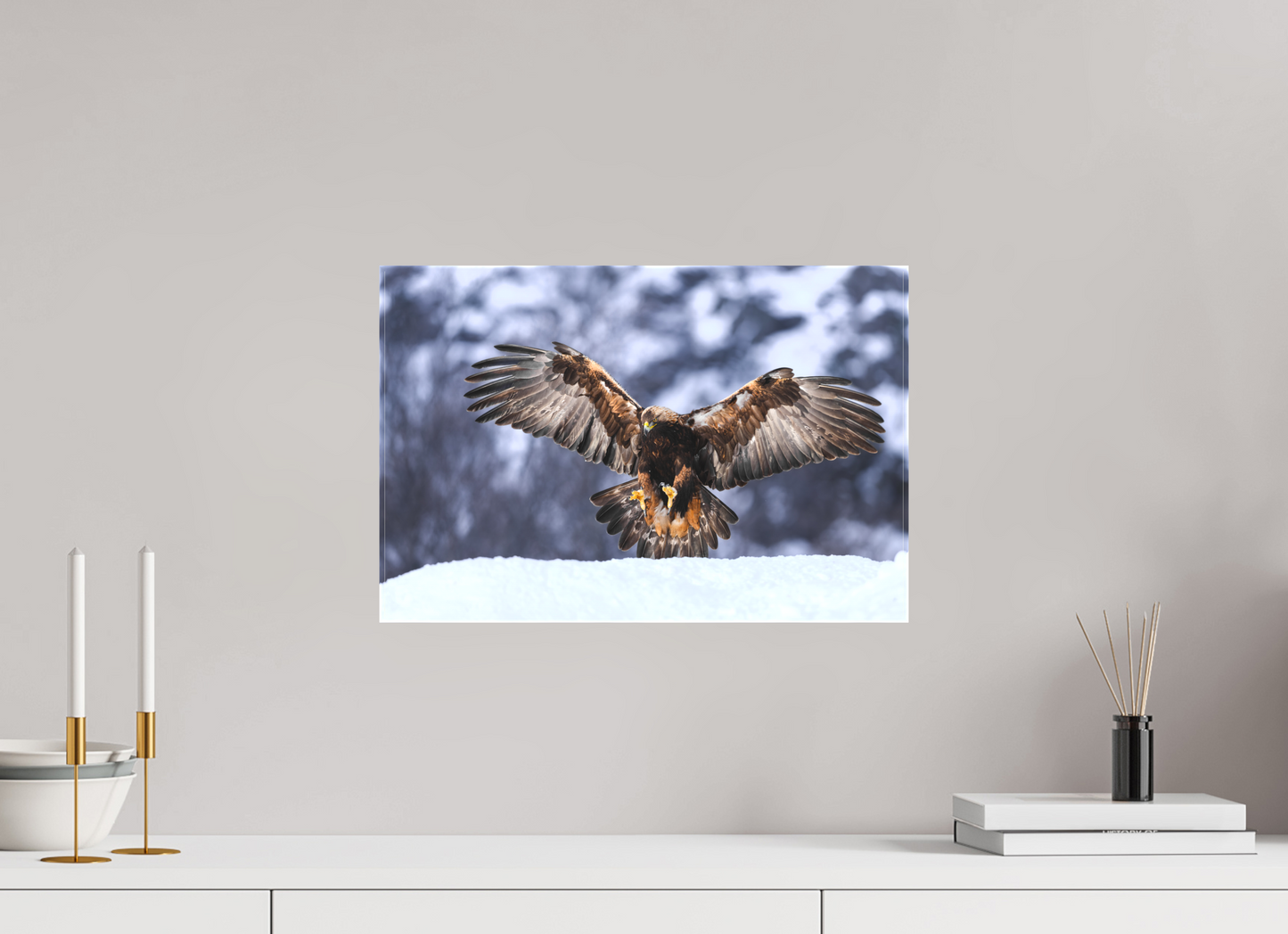 Golden eagle in for landing