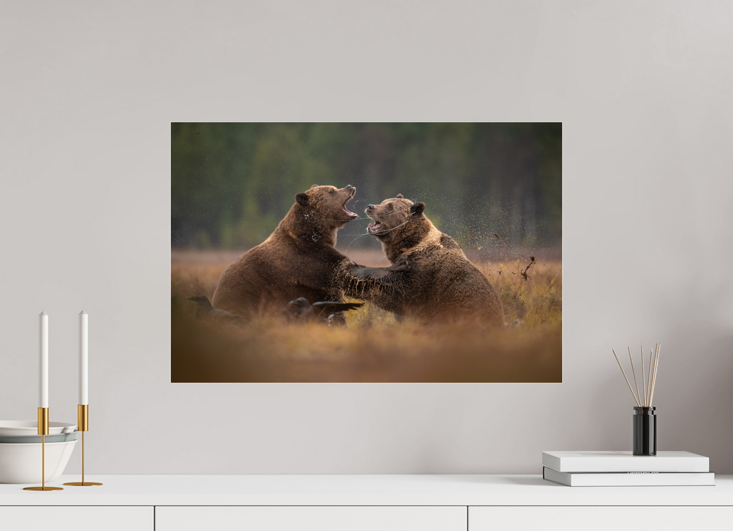 Fighting brown bears
