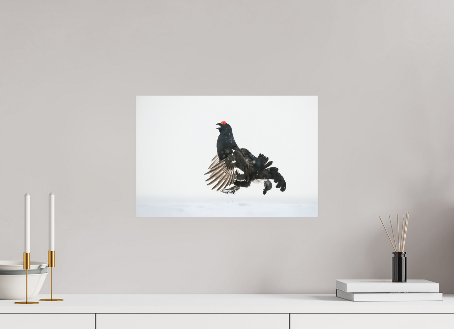 Jumping black grouse