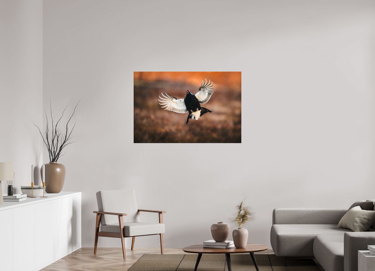 Black grouse in flight