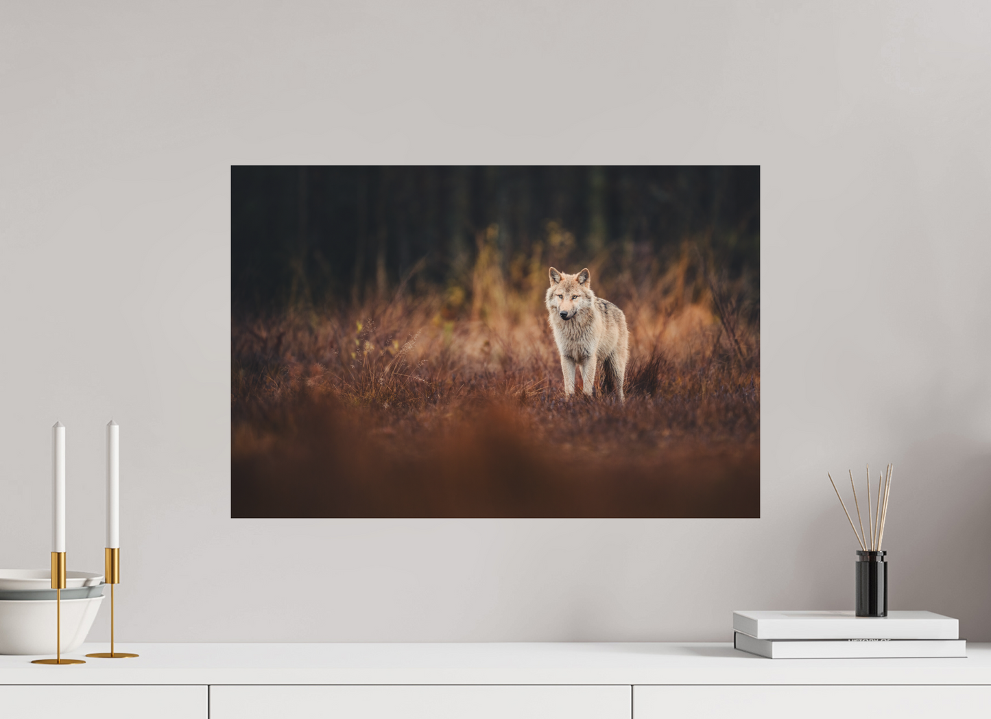 Wolf in autumn surroundings