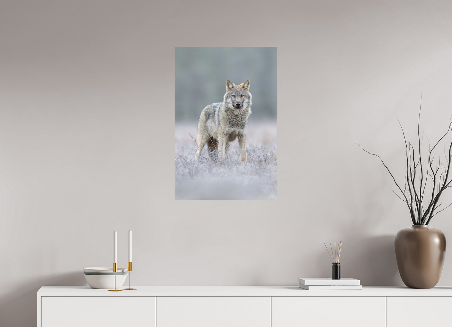 Wolf on frozen ground