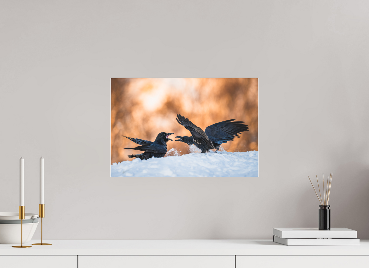 Ravens fighting in the snow
