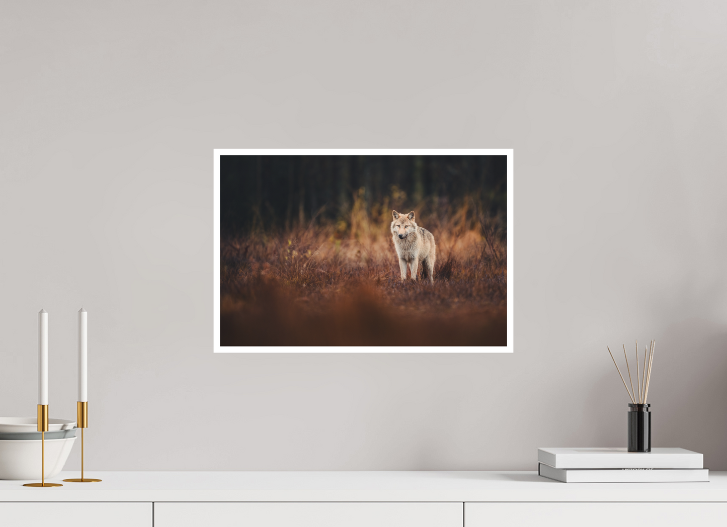 Wolf in autumn surroundings