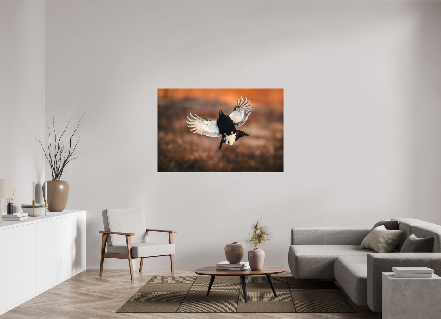 Black grouse in flight