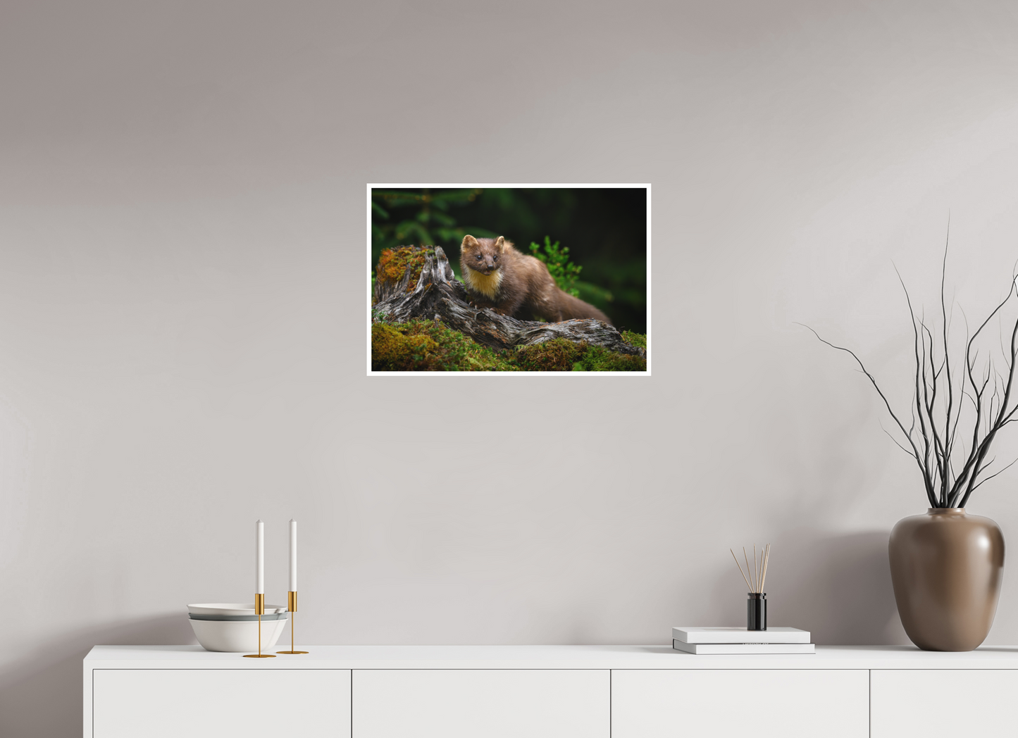 Pine marten on old tree root