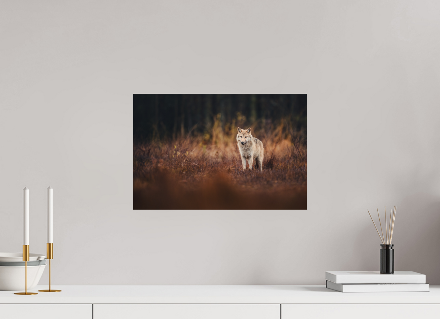 Wolf in autumn surroundings