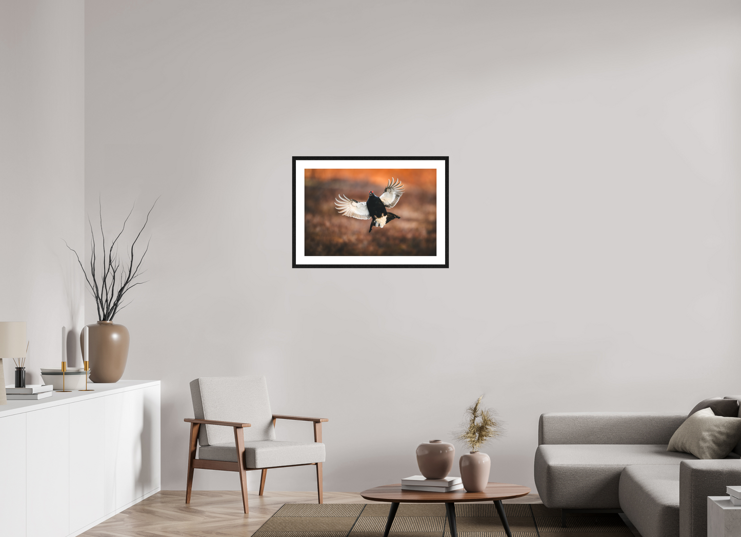 Black grouse in flight