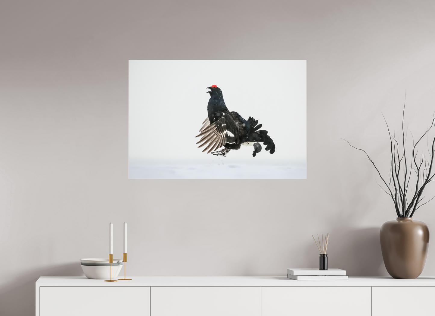Jumping black grouse