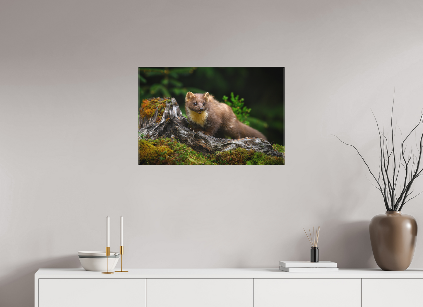 Pine marten on old tree root