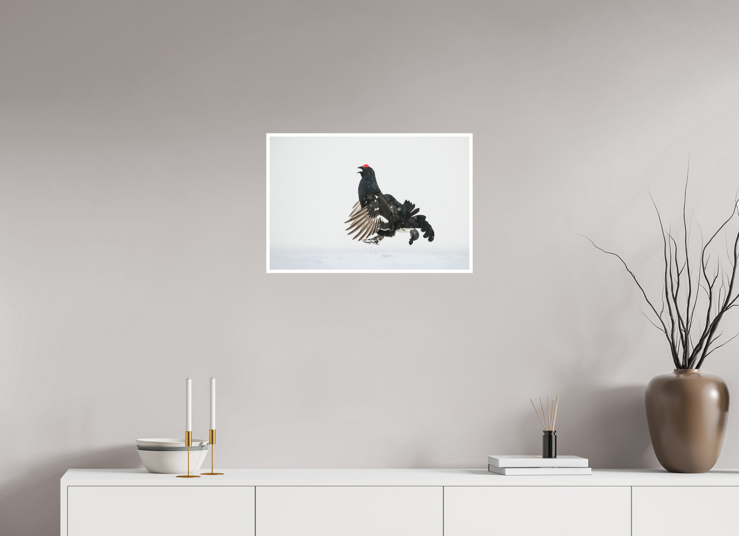 Jumping black grouse