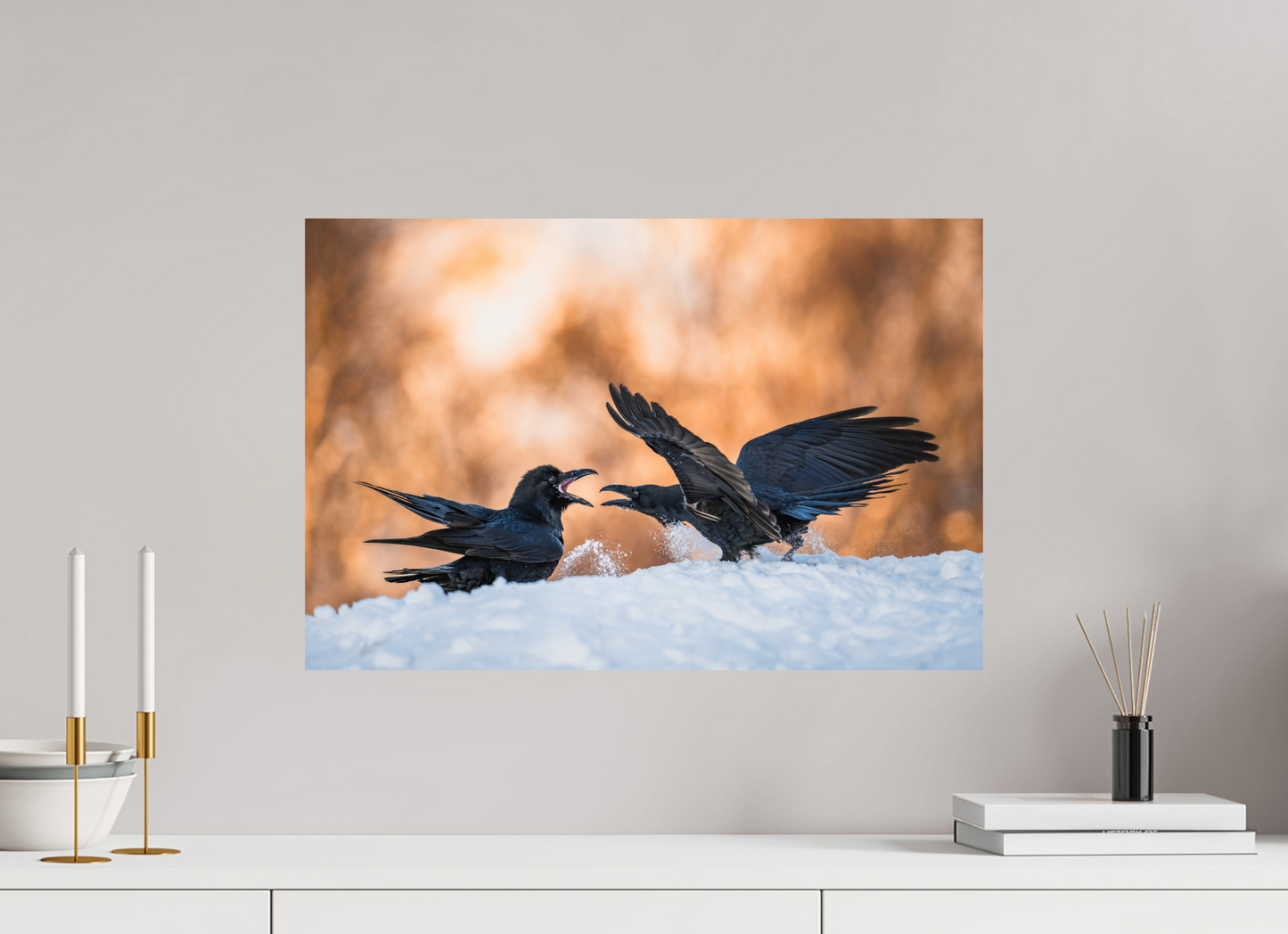 Ravens fighting in the snow