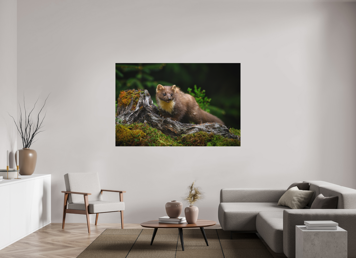Pine marten on old tree root