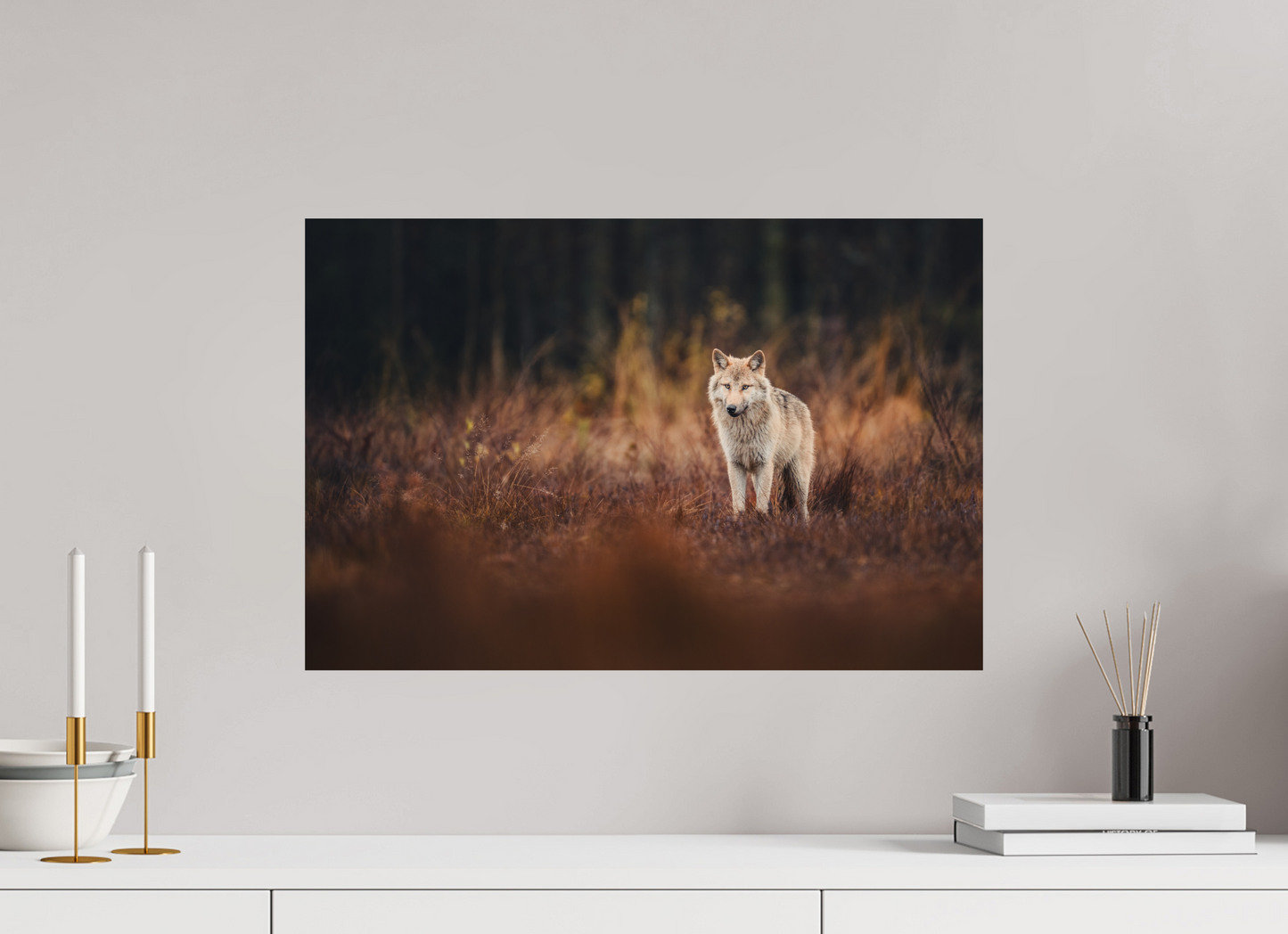 Wolf in autumn surroundings