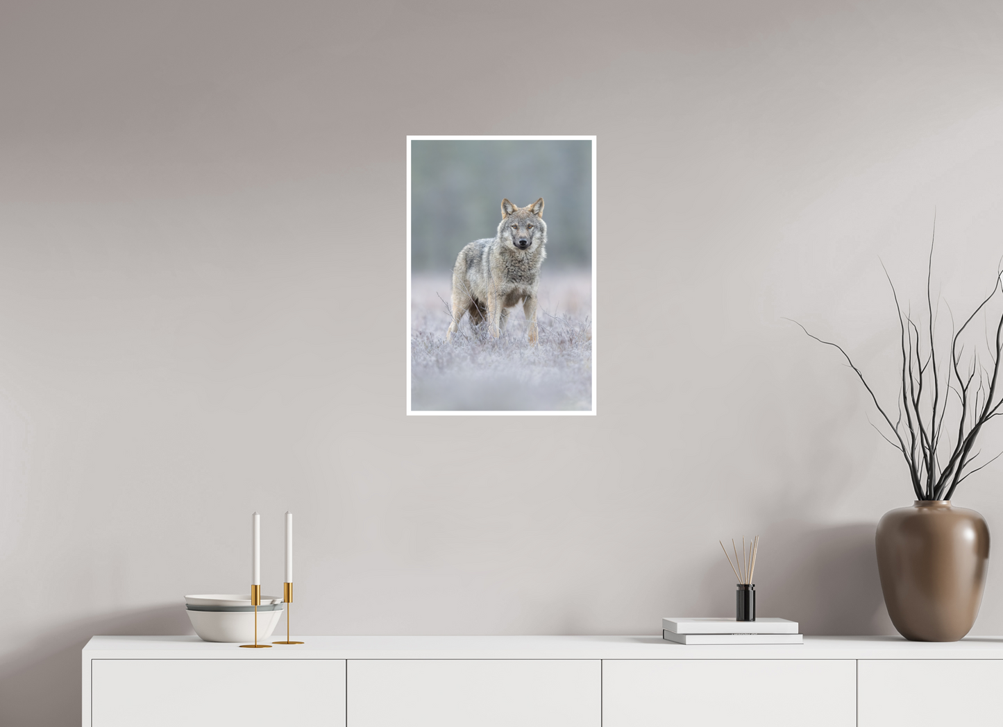 Wolf on frozen ground