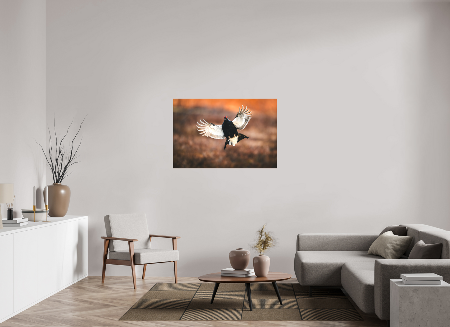 Black grouse in flight