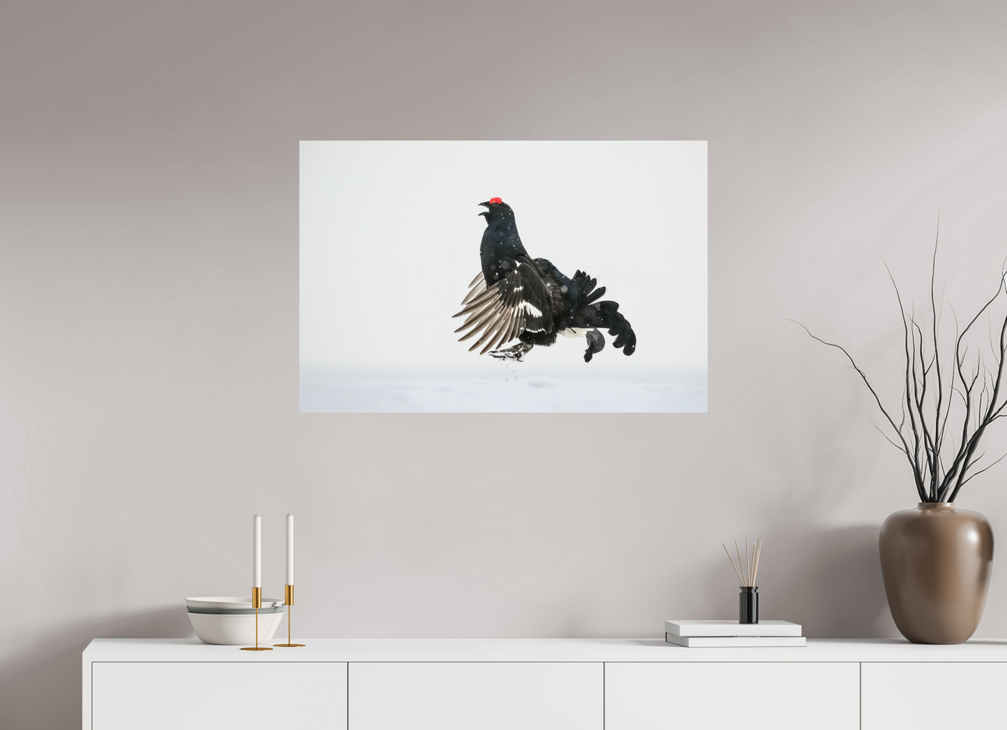 Jumping black grouse