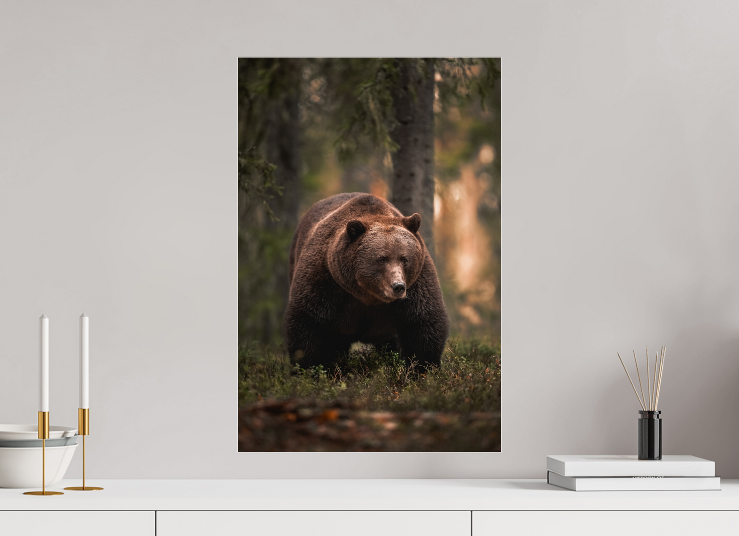 Bear in the evening forest